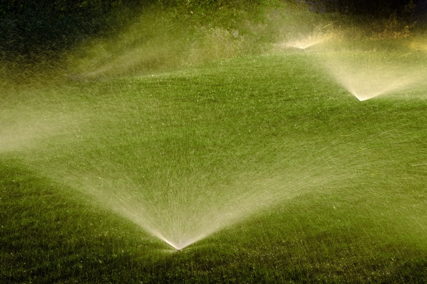 irrigação de jardim em Holambra